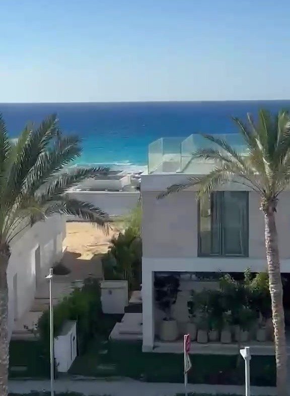 Beach, palm trees and villa from above - villa in Marassi Bay, North Coast