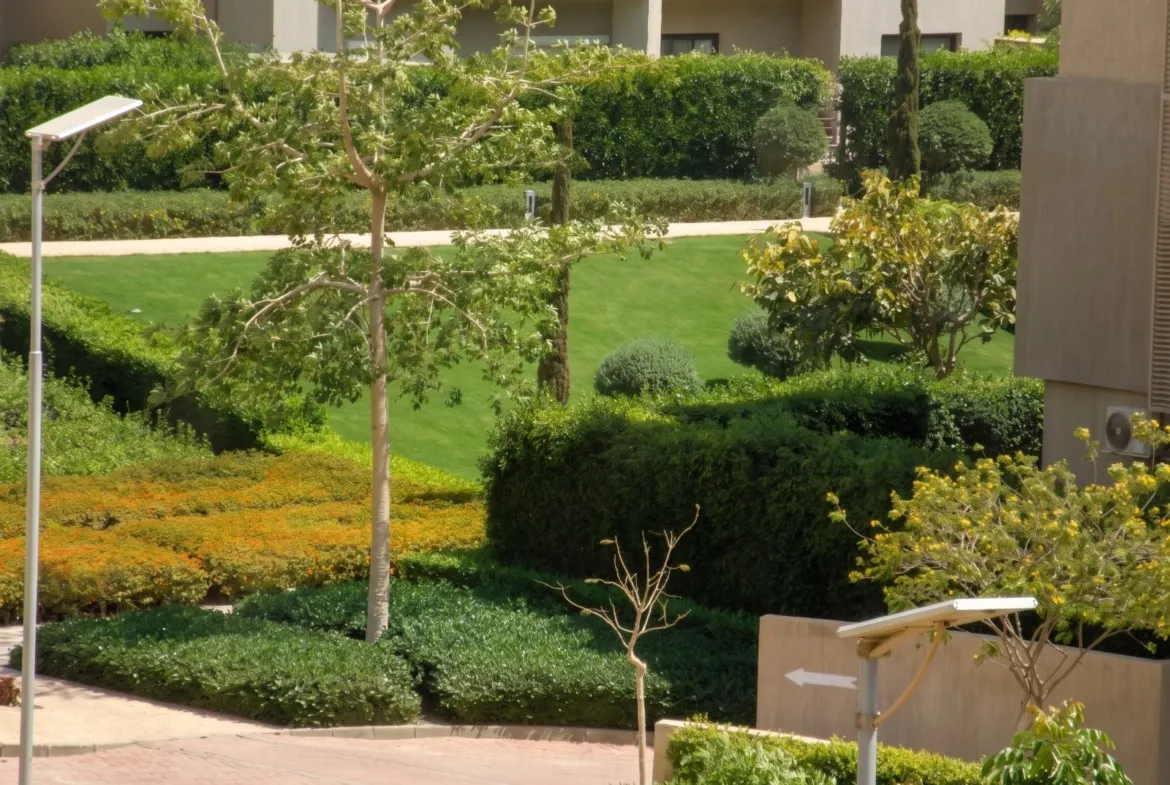 Garden with hedges and lamp post - apartment in Moon Residence, Fifth Square, New Cairo