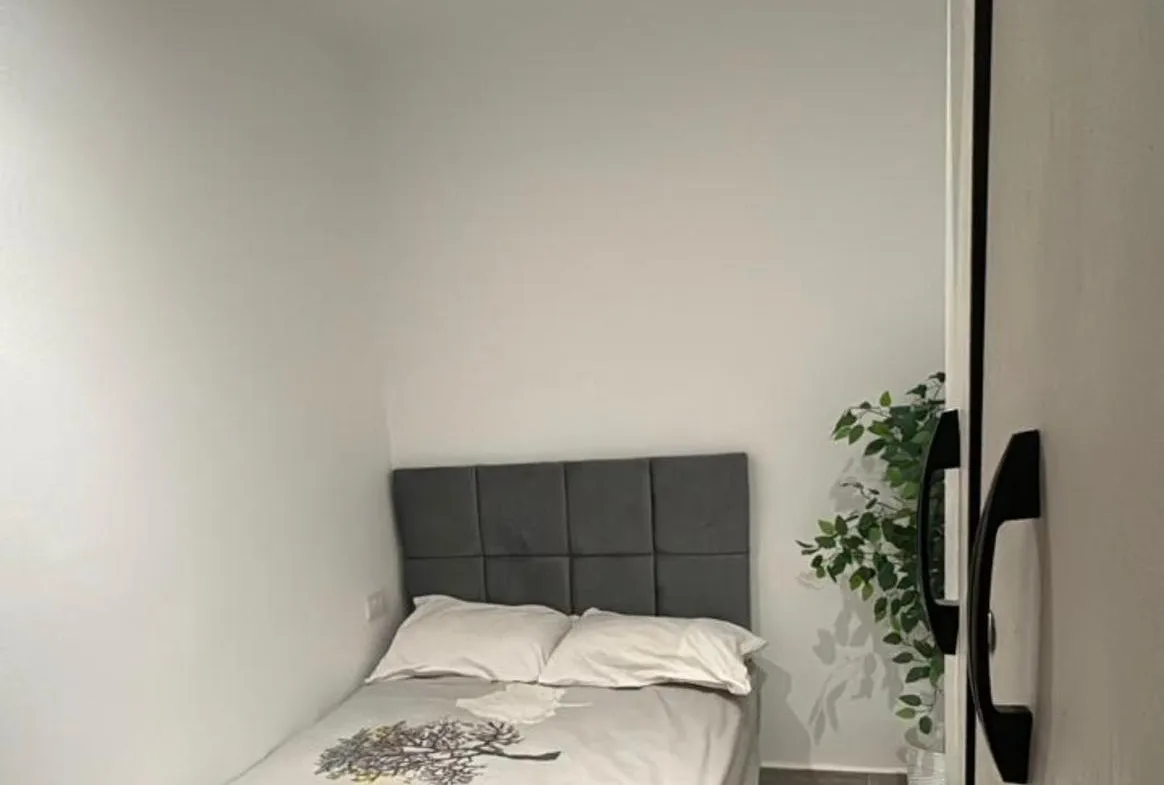 Single bed with a grey headboard and a plant - apartment in Mountain View iCity, New Cairo