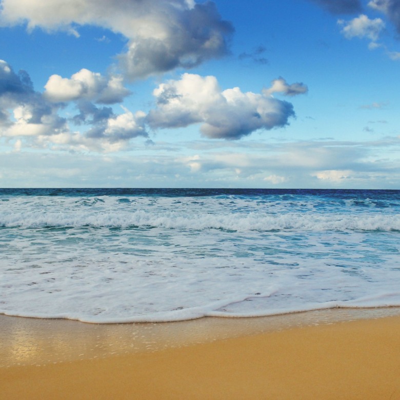 Waves rolling onto a sandy beach under a cloudy sky - chalet in North Coast