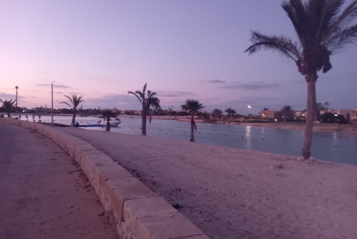 Palm-lined lagoon promenade at dusk - chalet in North Coast