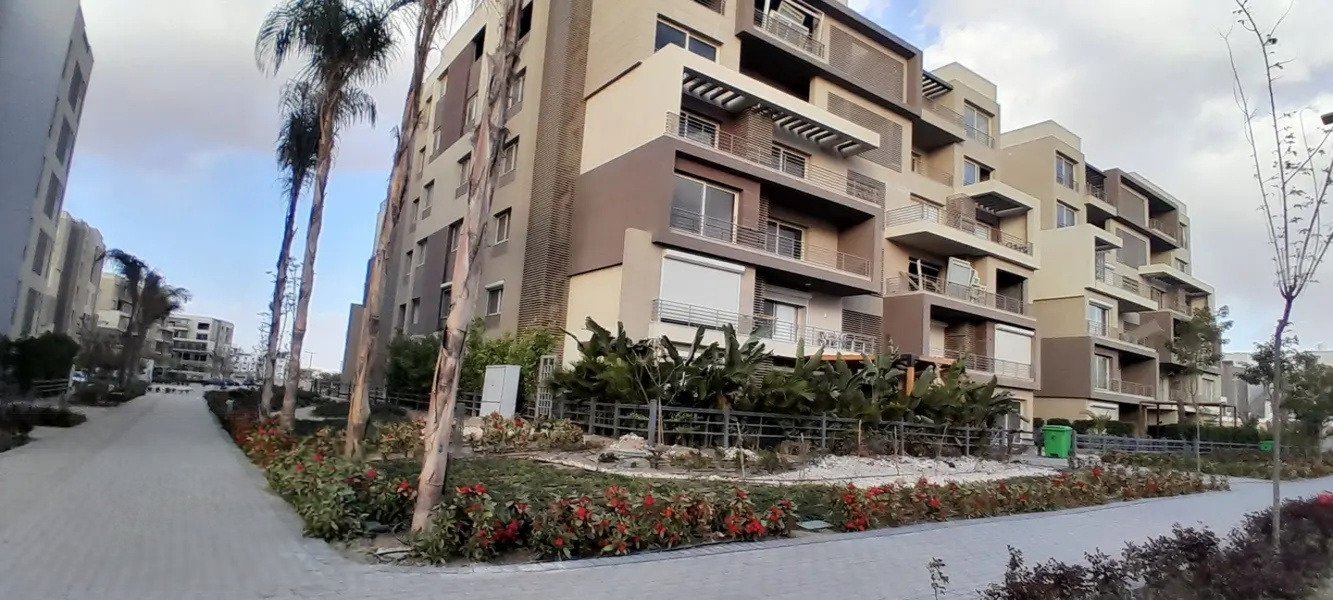 phnc521-i09 Walkway and tall palms beside brown apartment blocks - apartment in Palm Hills, New Cairo
