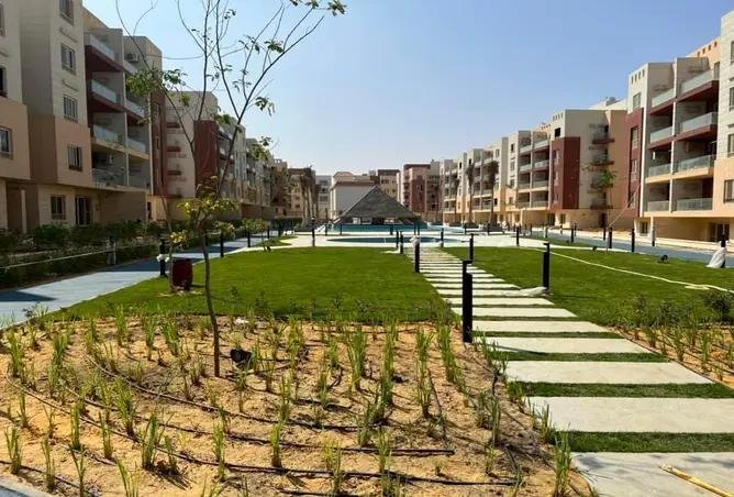 حديقة منسقة بممشى حجارة على امتداد العمارات - شقة في بروميناد وادي دجلة، التجمع الخامس