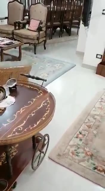 Round side table and a rug in a bright reception - apartment in South of Academy, 5th Settlement