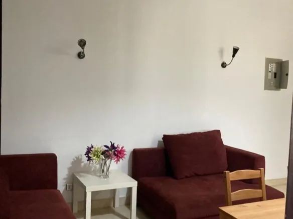 Furnished Studio for Rent in Village Gate New Cairo - photo 1